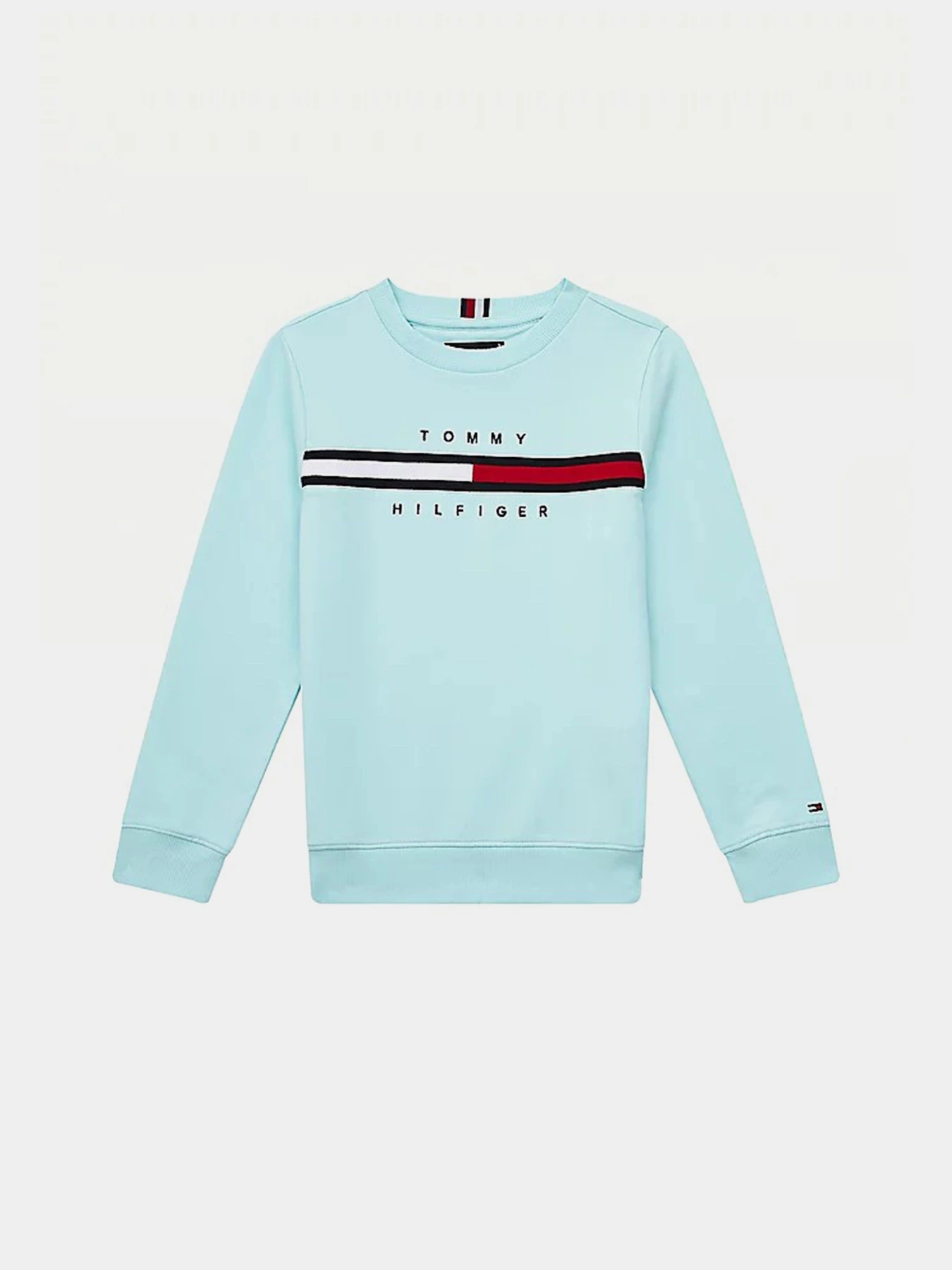 Худи и свитшоты Tommy Hilfiger модель KB0KB06568-CUT Фото