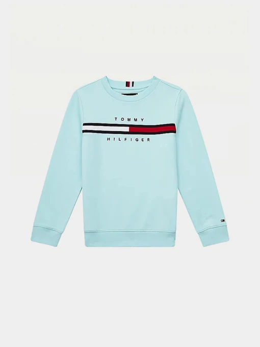 Худи и свитшоты Tommy Hilfiger модель KB0KB06568-CUT Фото