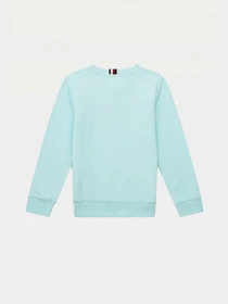 Худи и свитшоты Tommy Hilfiger модель KB0KB06568-CUT Фото