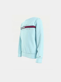 Худи и свитшоты Tommy Hilfiger модель KB0KB06568-CUT Фото