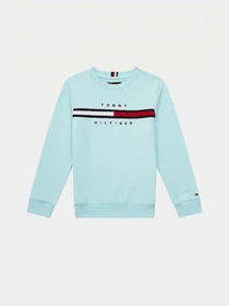 Худи и свитшоты Tommy Hilfiger модель KB0KB06568-CUT Фото
