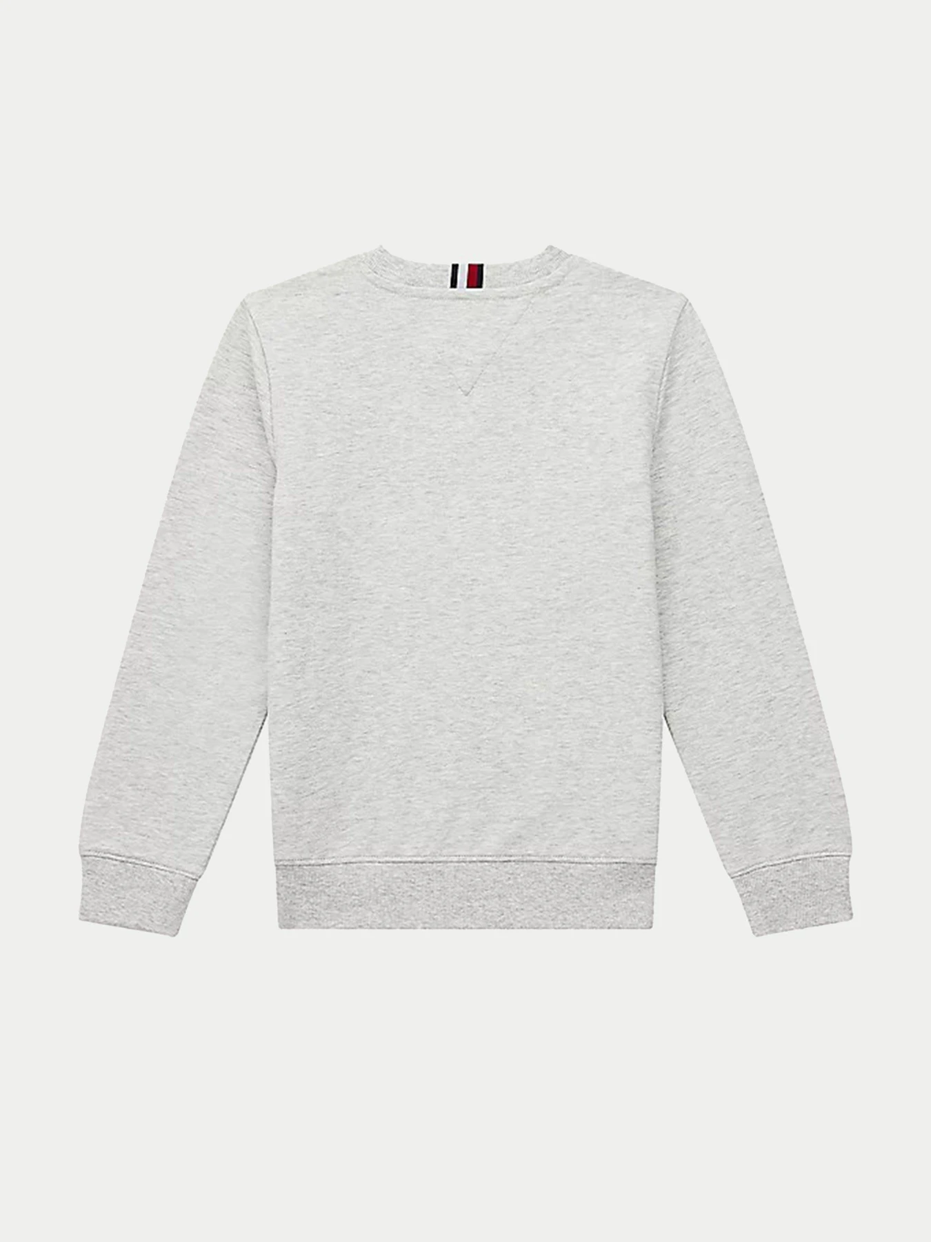 Худи и свитшоты Tommy Hilfiger модель KB0KB06568-PZ1 Фото