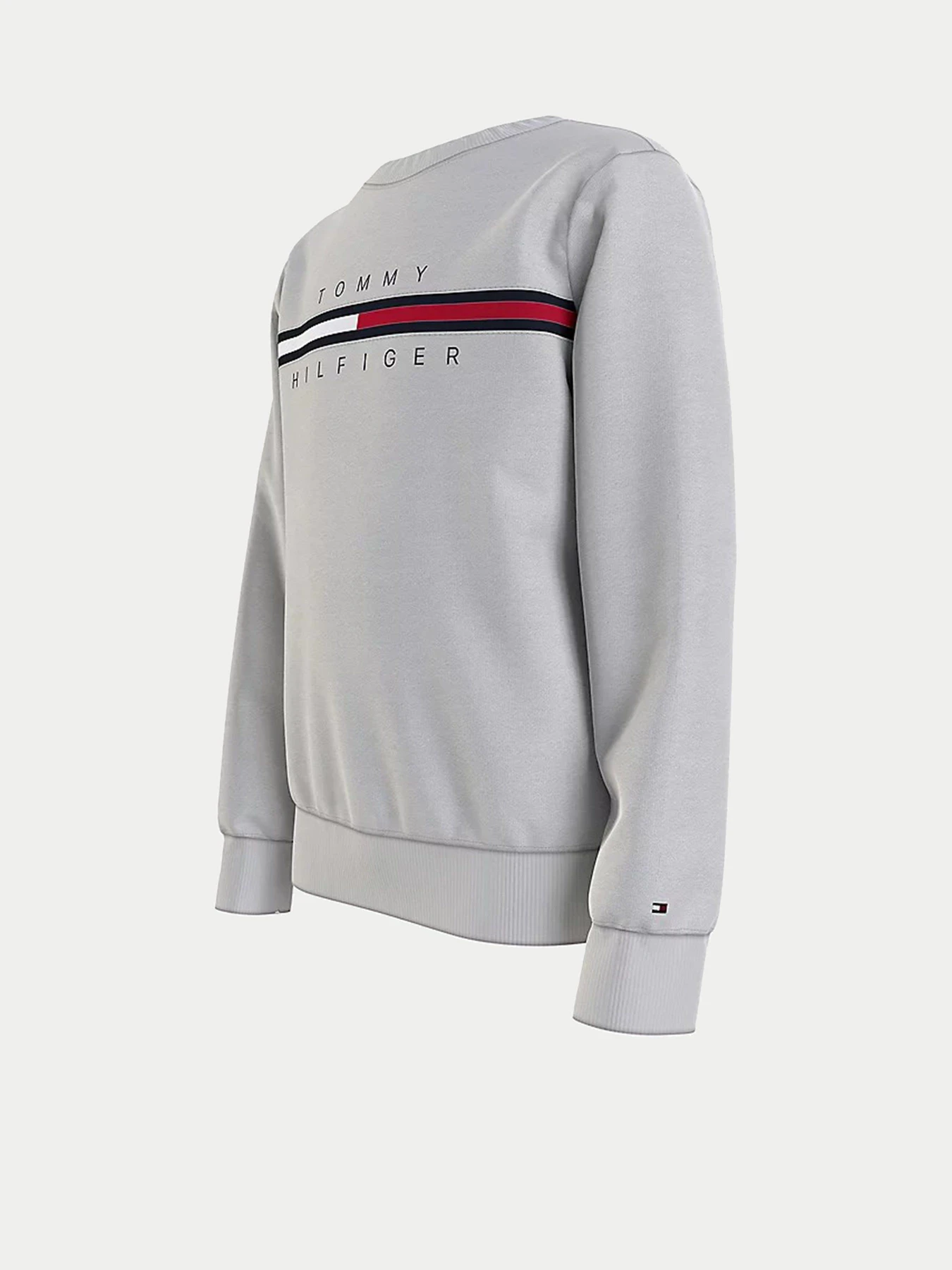 Худи и свитшоты Tommy Hilfiger модель KB0KB06568-PZ1 Фото