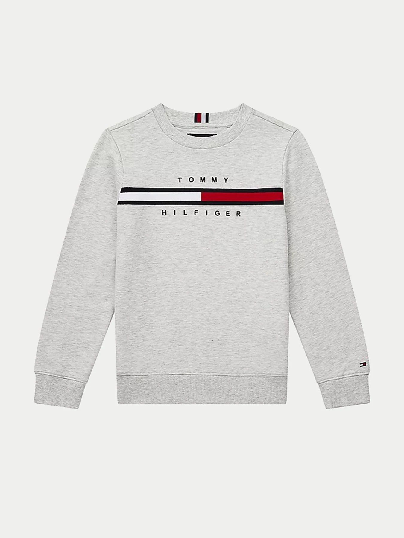 Худи и свитшоты Tommy Hilfiger модель KB0KB06568-PZ1 Фото