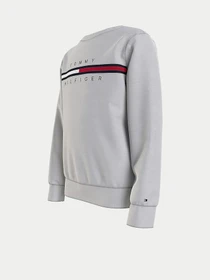 Худи и свитшоты Tommy Hilfiger модель KB0KB06568-PZ1 Фото