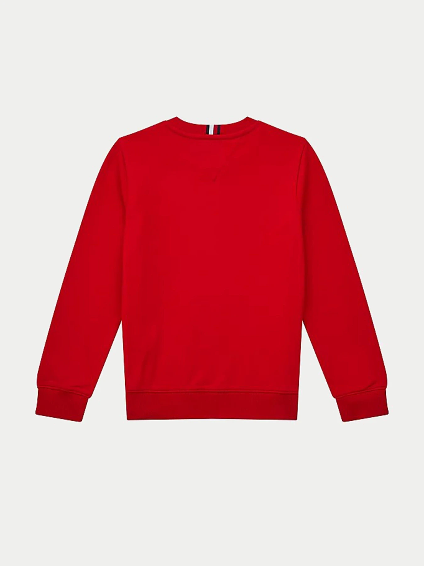Худи и свитшоты Tommy Hilfiger модель KB0KB06568-XNL Фото