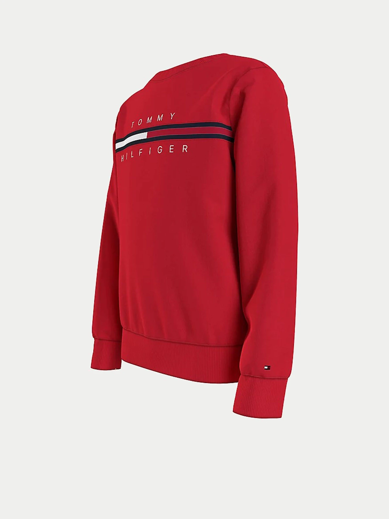 Худи и свитшоты Tommy Hilfiger модель KB0KB06568-XNL Фото