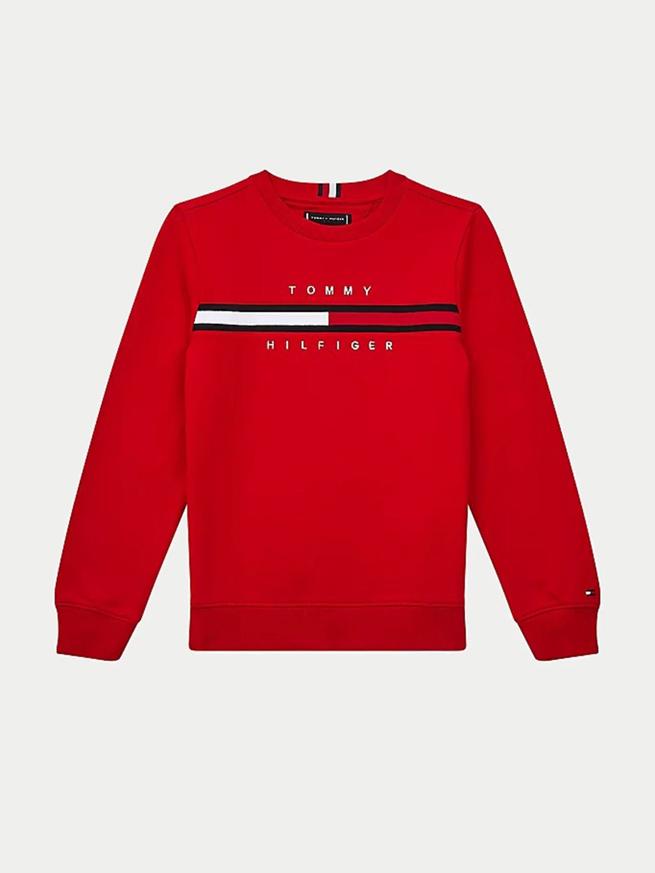 Худи и свитшоты Tommy Hilfiger модель KB0KB06568-XNL Фото
