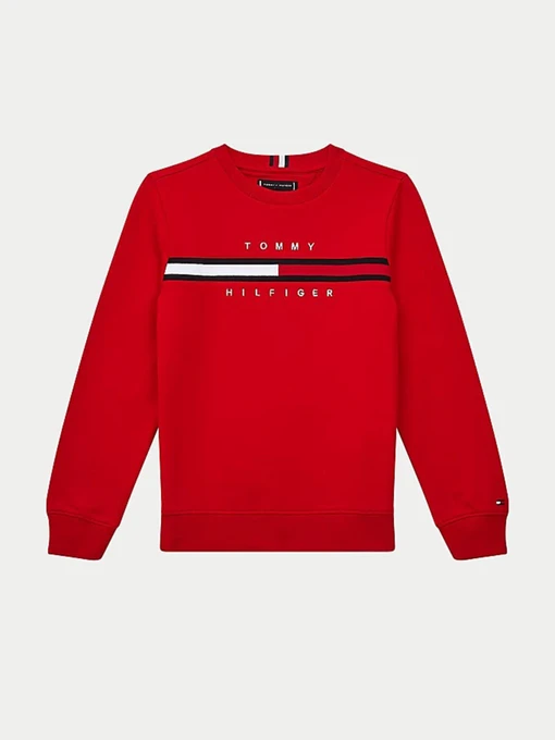 Худи и свитшоты Tommy Hilfiger модель KB0KB06568-XNL Фото