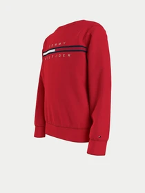 Худи и свитшоты Tommy Hilfiger модель KB0KB06568-XNL Фото