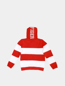 Худи и свитшоты Tommy Hilfiger модель KB0KB06572-XNL Фото