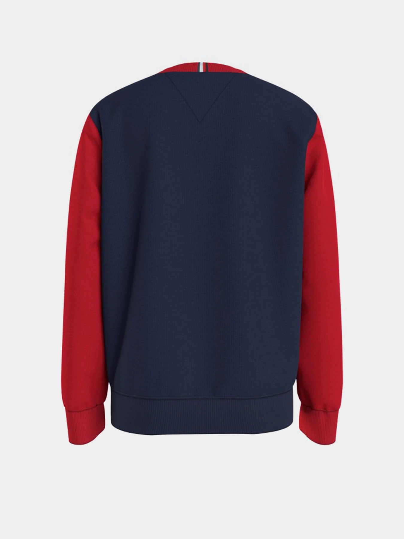 Худи и свитшоты Tommy Hilfiger модель KB0KB06596-0SM Фото