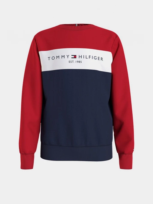 Худи и свитшоты Tommy Hilfiger модель KB0KB06596-0SM Фото