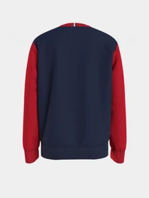 Худи и свитшоты Tommy Hilfiger модель KB0KB06596-0SM Фото