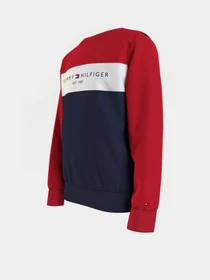 Худи и свитшоты Tommy Hilfiger модель KB0KB06596-0SM Фото