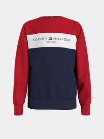 Худи и свитшоты Tommy Hilfiger модель KB0KB06596-0SM Фото