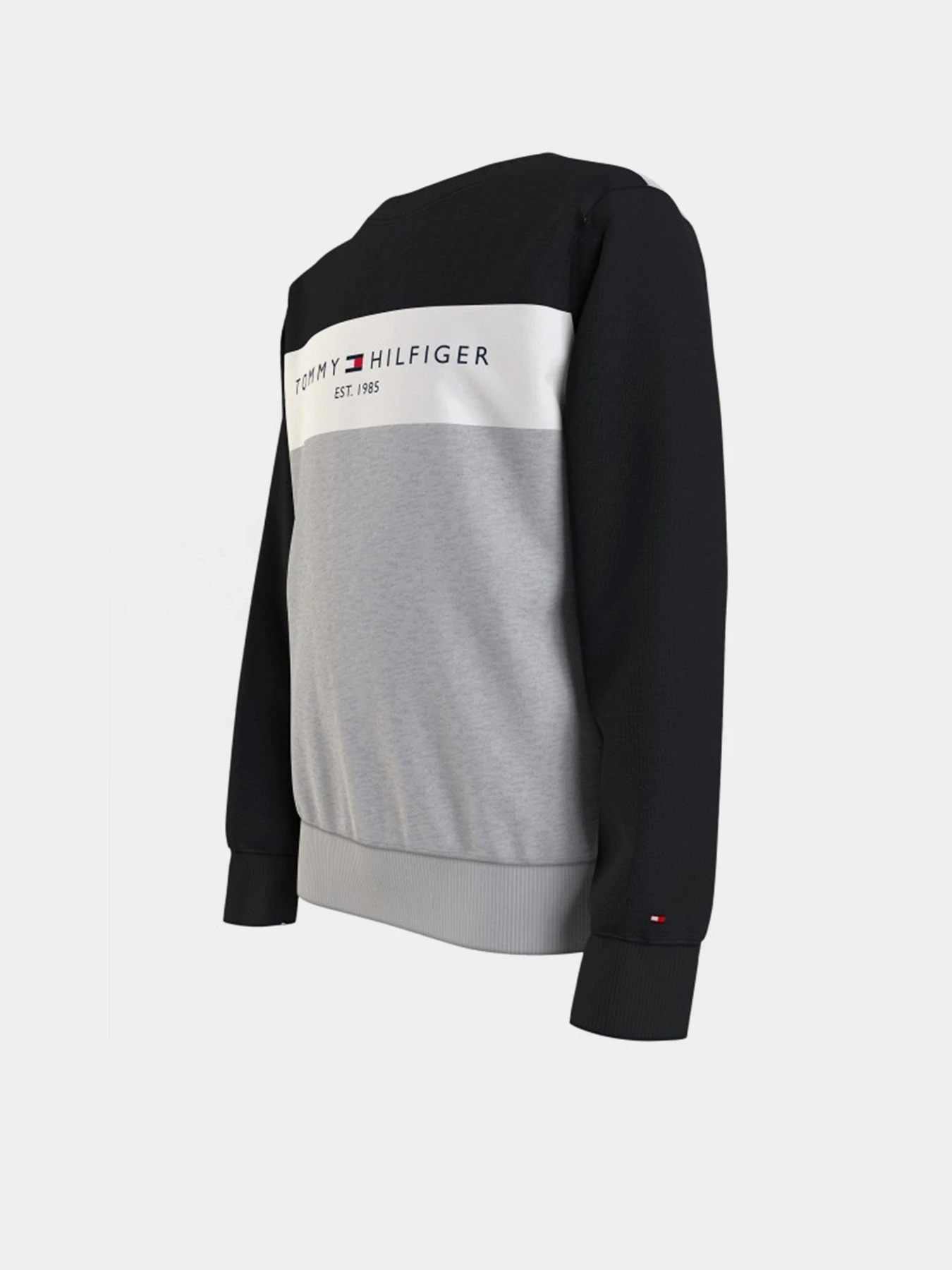 Худи и свитшоты Tommy Hilfiger модель KB0KB06596-0UA Фото
