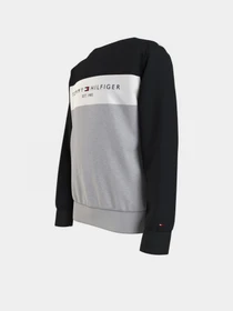 Худи и свитшоты Tommy Hilfiger модель KB0KB06596-0UA Фото