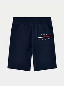 Шорты Tommy Hilfiger COOL модель KB0KB06597-C87 Фото