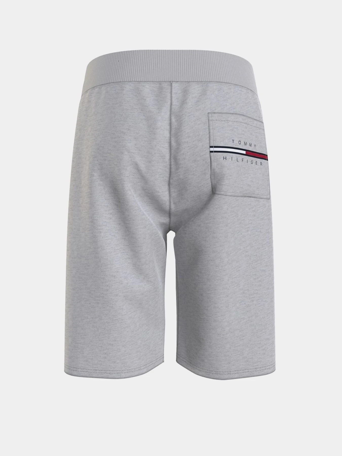 Шорты Tommy Hilfiger COOL модель KB0KB06597-PZ1 Фото