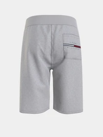 Шорты Tommy Hilfiger COOL модель KB0KB06597-PZ1 Фото