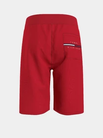 Шорты Tommy Hilfiger COOL модель KB0KB06597-XNL Фото