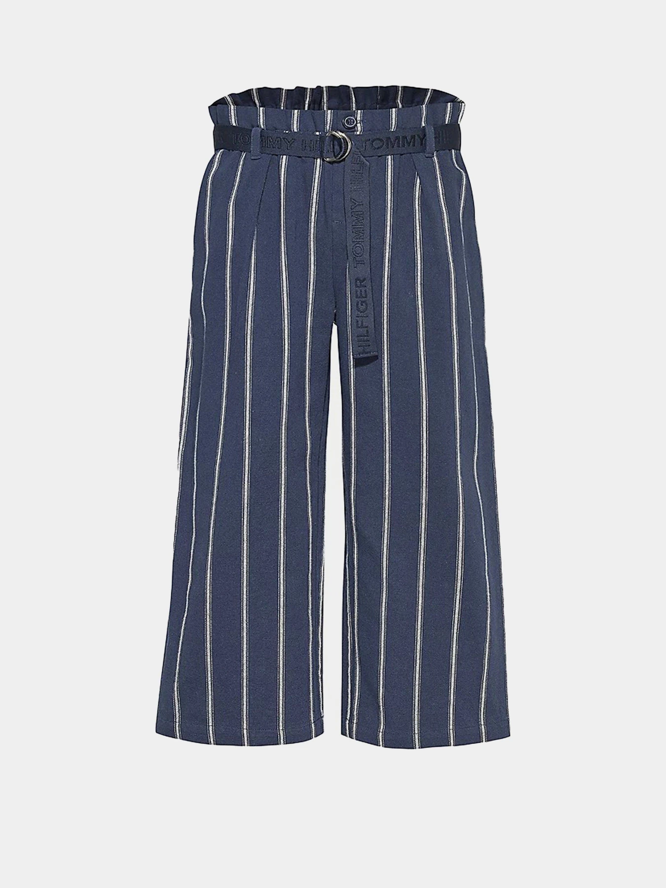 Брюки Tommy Hilfiger модель KG0KG05673-C87 Фото