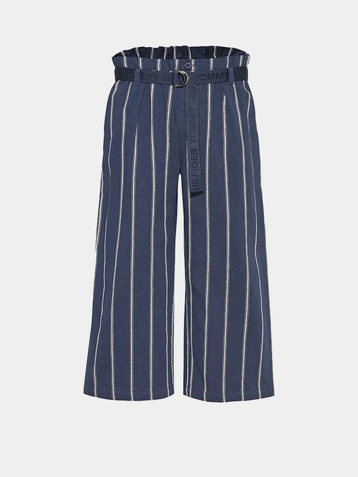 Брюки Tommy Hilfiger модель KG0KG05673-C87 Фото