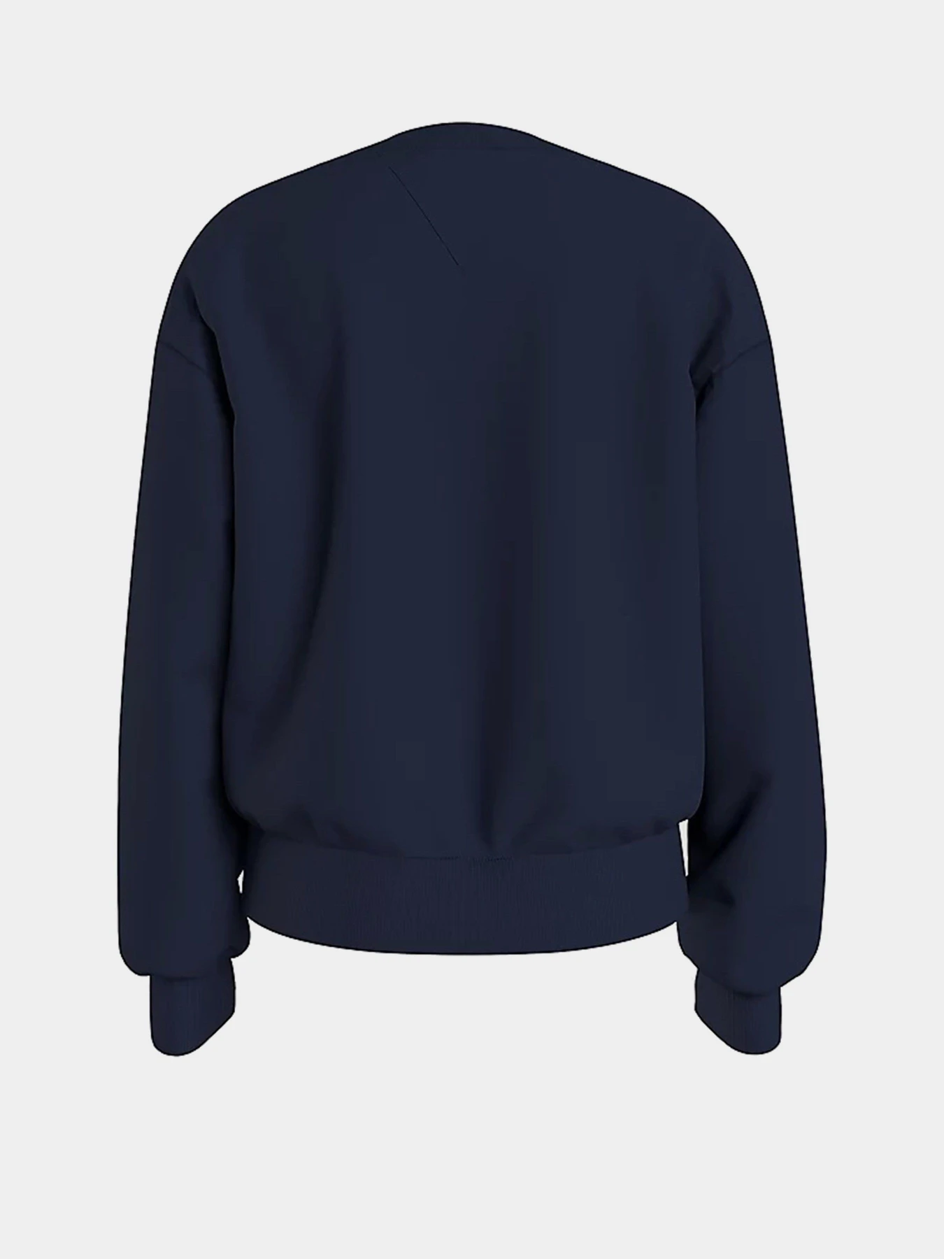 Худи и свитшоты Tommy Hilfiger модель KG0KG05764-C87 Фото