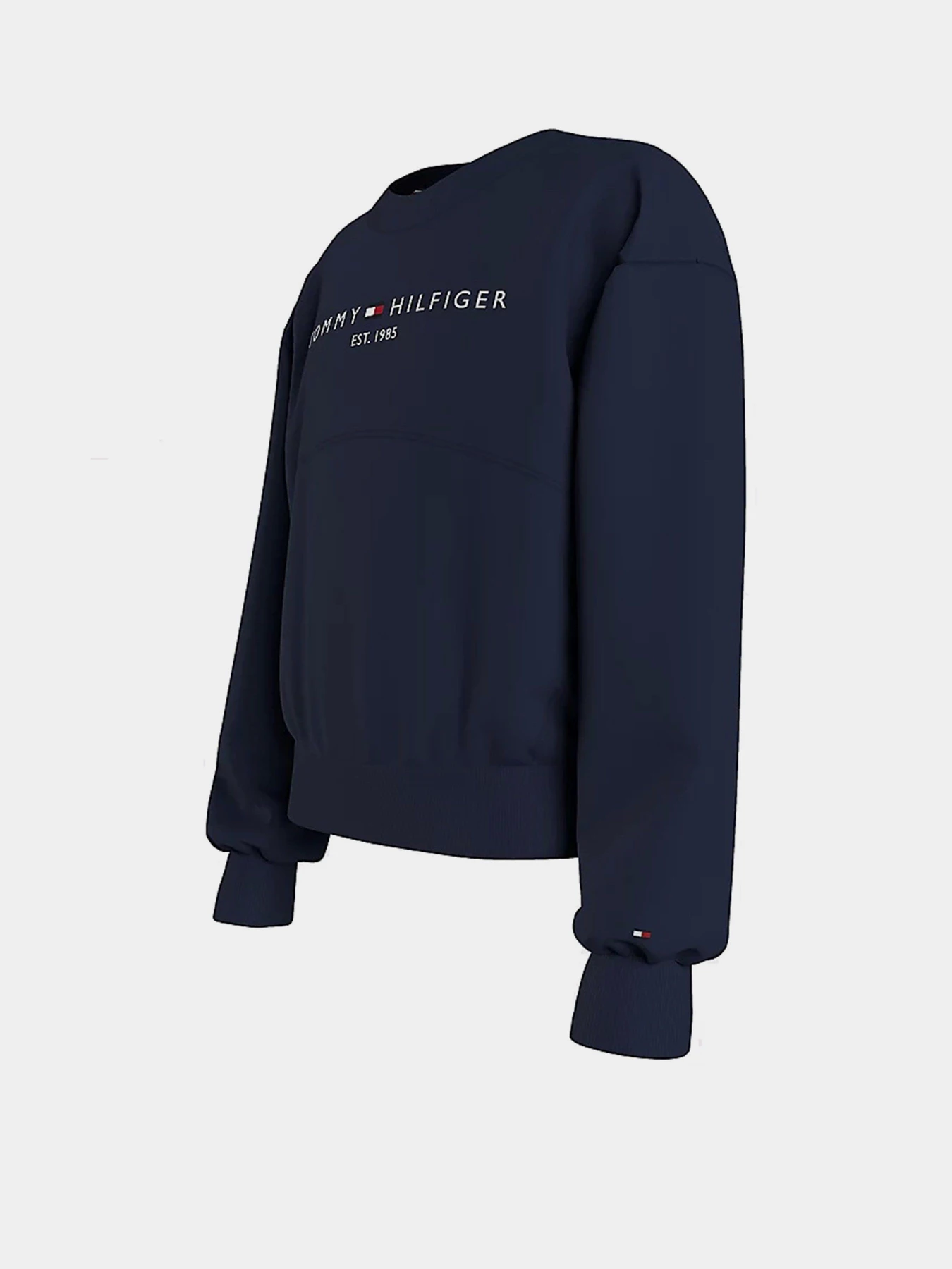 Худи и свитшоты Tommy Hilfiger модель KG0KG05764-C87 Фото