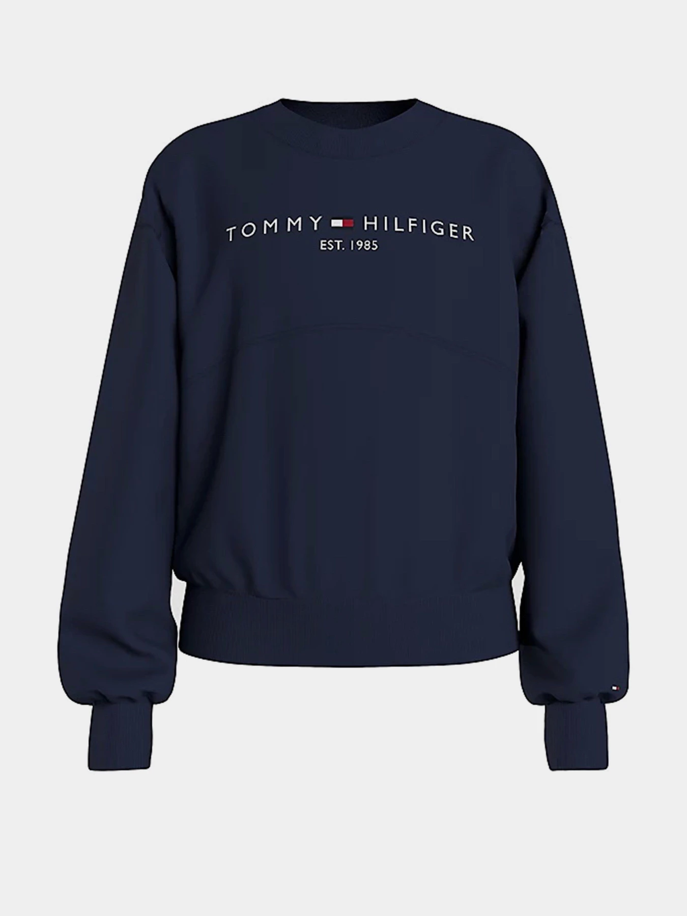 Худи и свитшоты Tommy Hilfiger модель KG0KG05764-C87 Фото