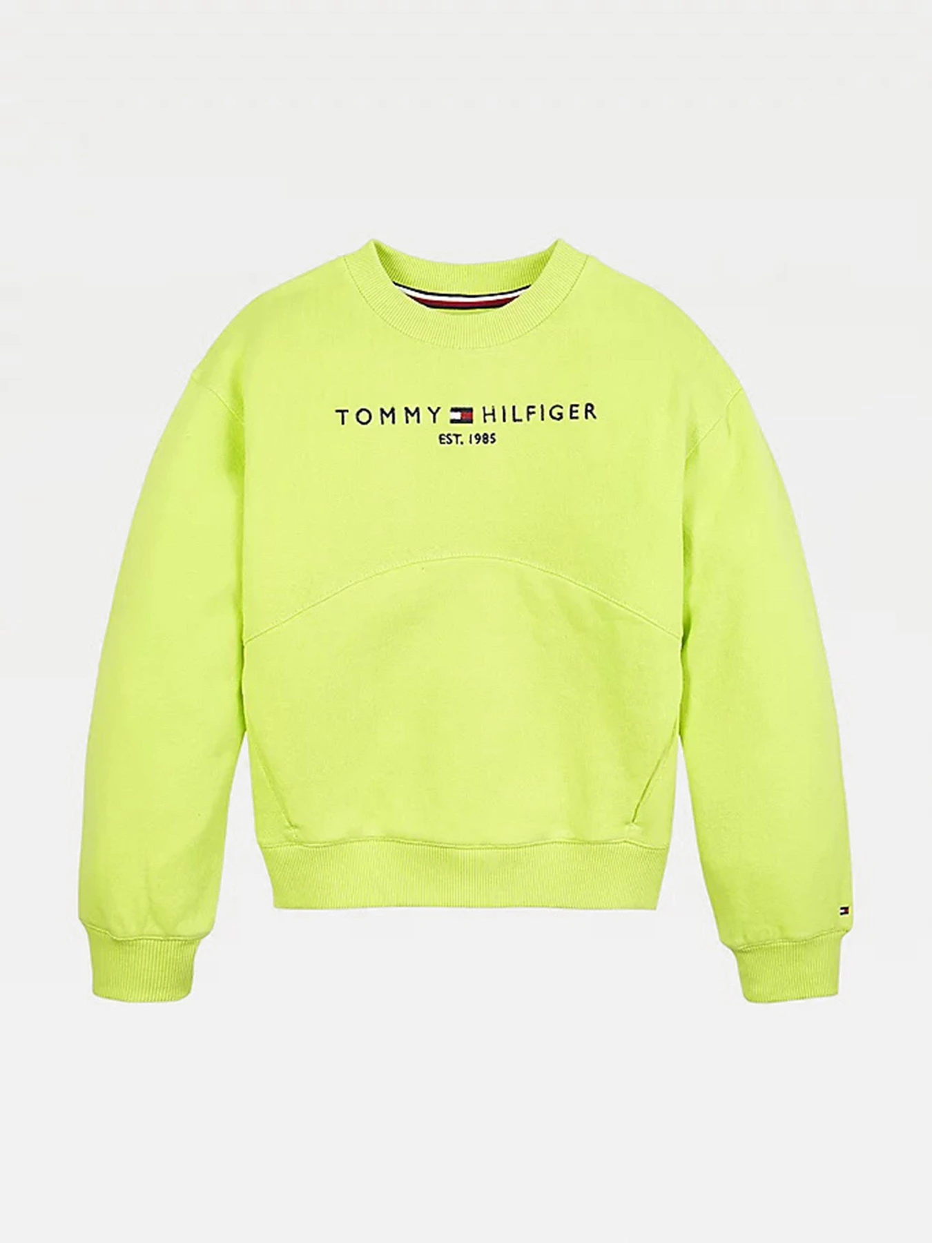 Худи и свитшоты Tommy Hilfiger модель KG0KG05764-LT3 Фото