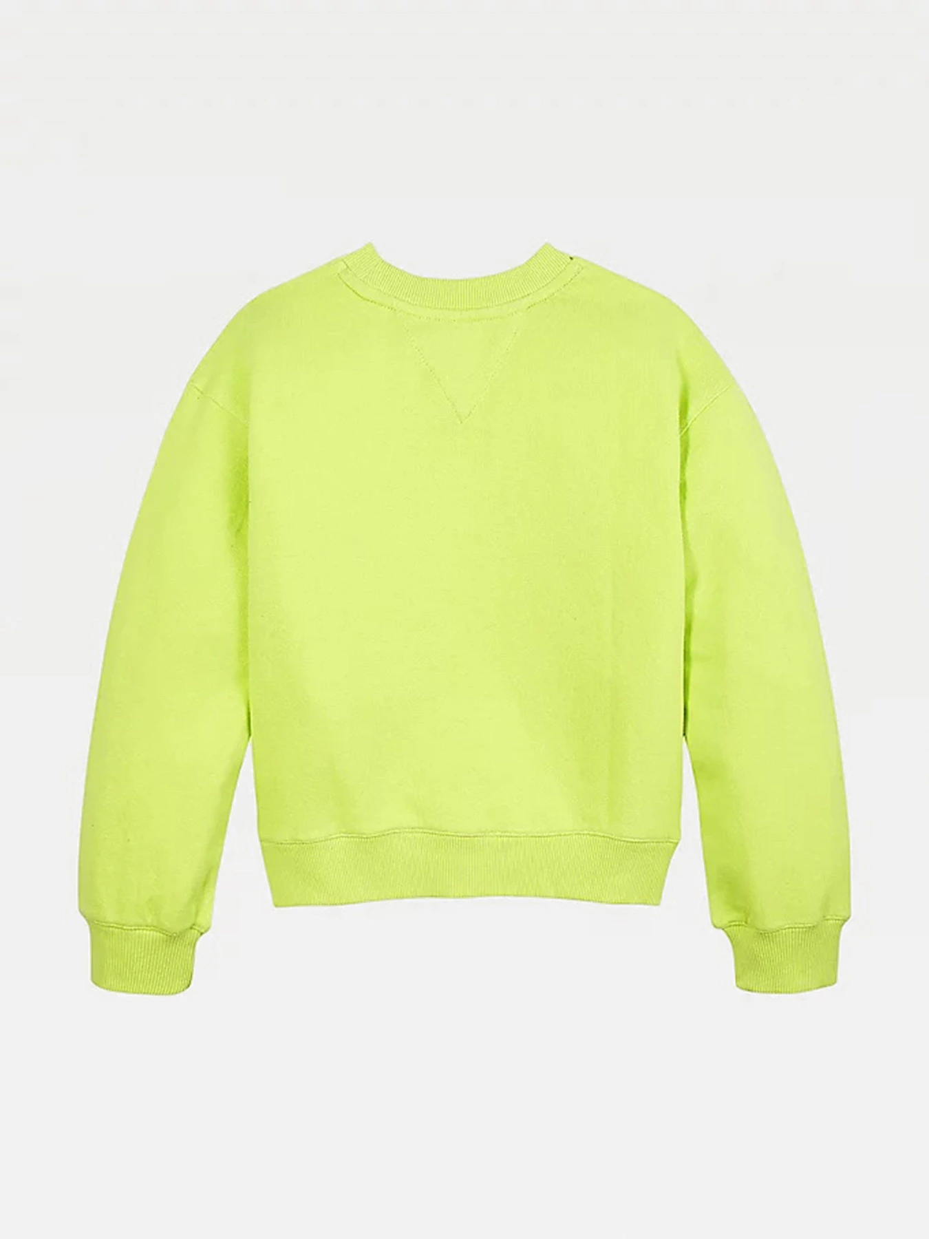 Худи и свитшоты Tommy Hilfiger модель KG0KG05764-LT3 Фото