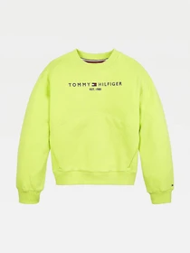 Худи и свитшоты Tommy Hilfiger модель KG0KG05764-LT3 Фото