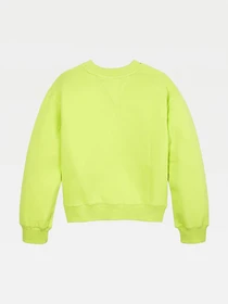 Худи и свитшоты Tommy Hilfiger модель KG0KG05764-LT3 Фото