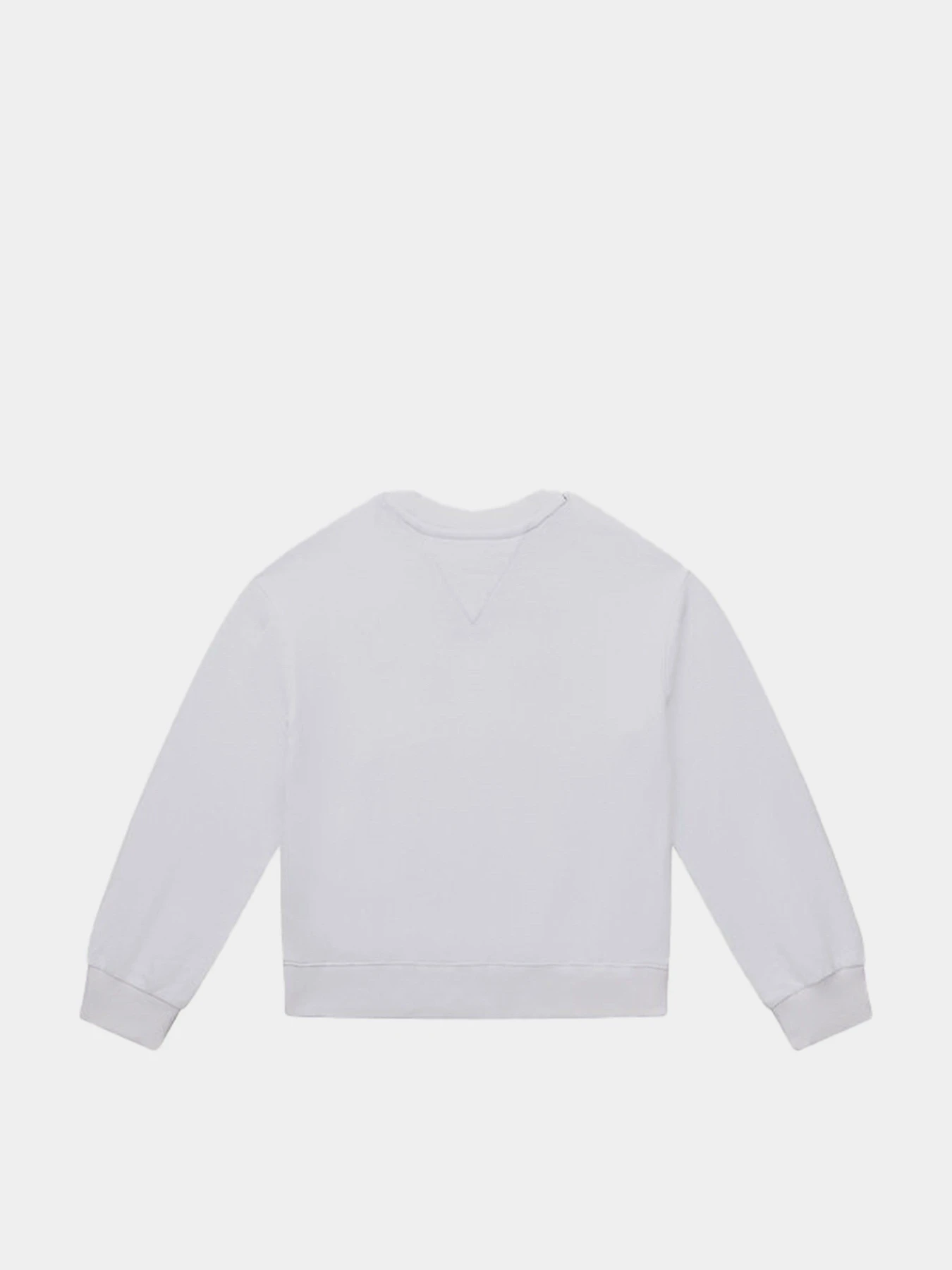 Худи и свитшоты Tommy Hilfiger модель KG0KG05764-YBR Фото