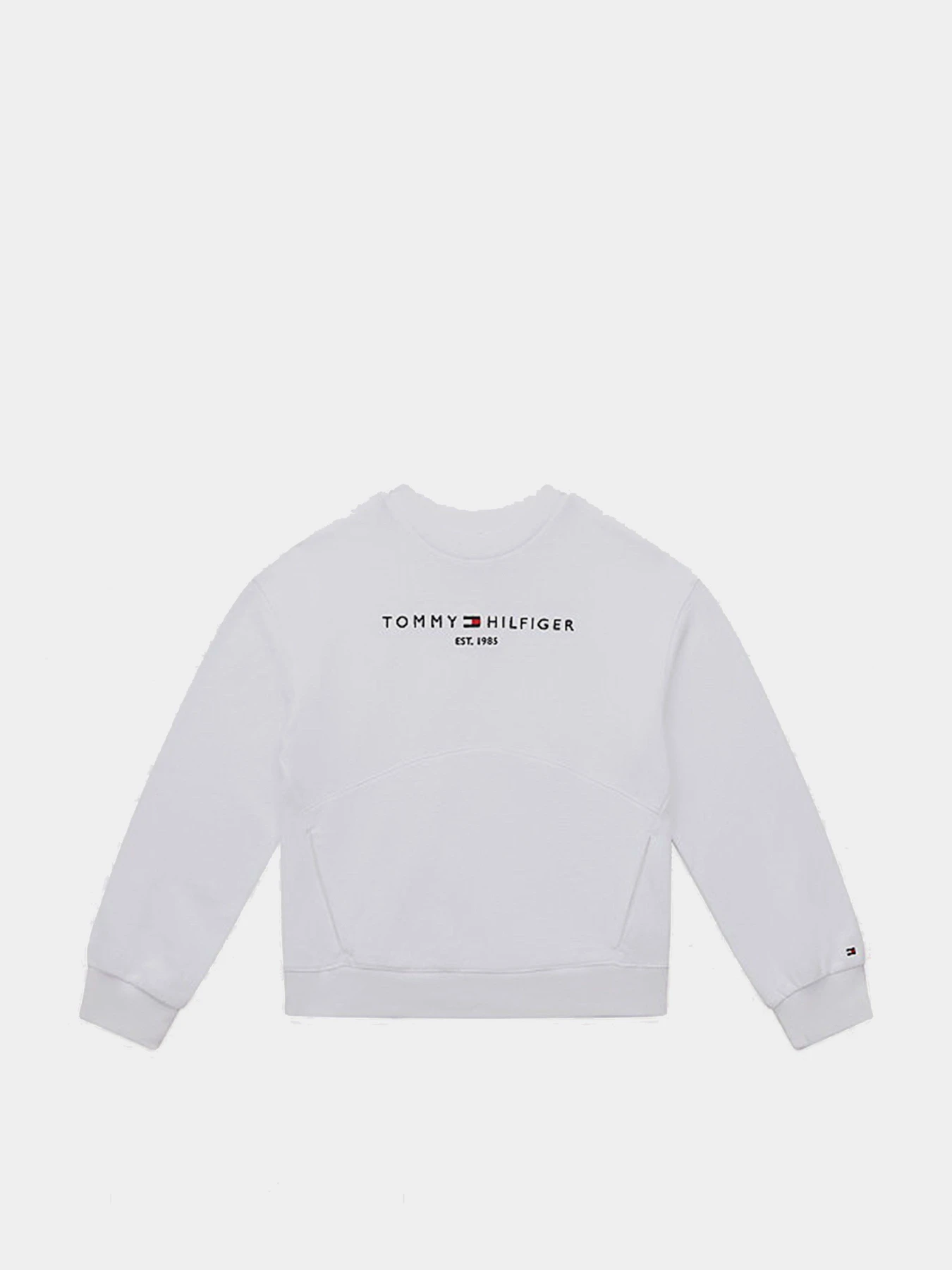 Худи и свитшоты Tommy Hilfiger модель KG0KG05764-YBR Фото