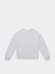 Худи и свитшоты Tommy Hilfiger модель KG0KG05764-YBR Фото