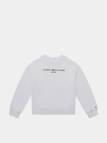 Худи и свитшоты Tommy Hilfiger модель KG0KG05764-YBR Фото