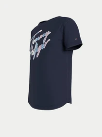 Футболки и поло Tommy Hilfiger модель KG0KG05870-C87 Фото