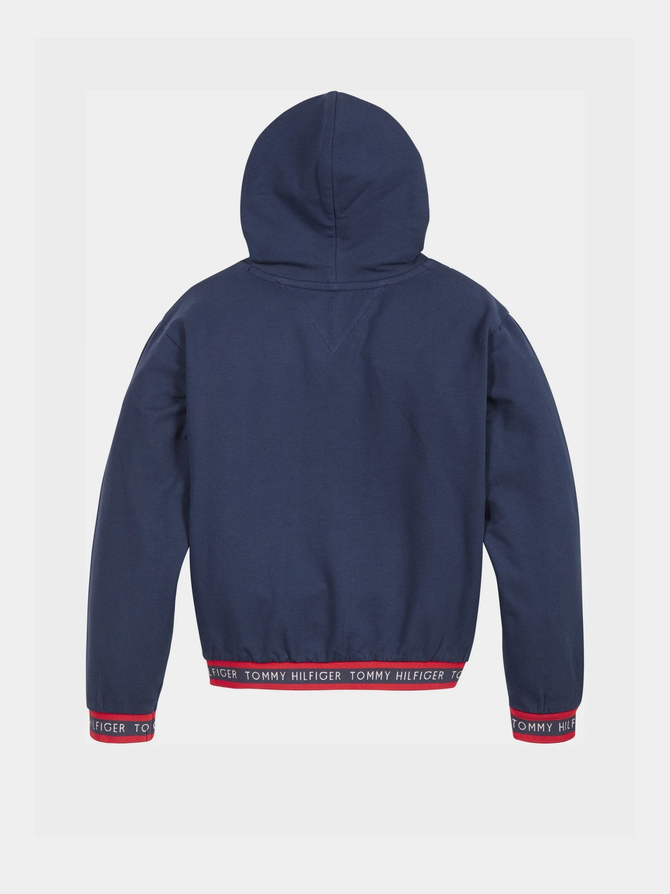 Худи и свитшоты Tommy Hilfiger модель KG0KG05887-C87 Фото