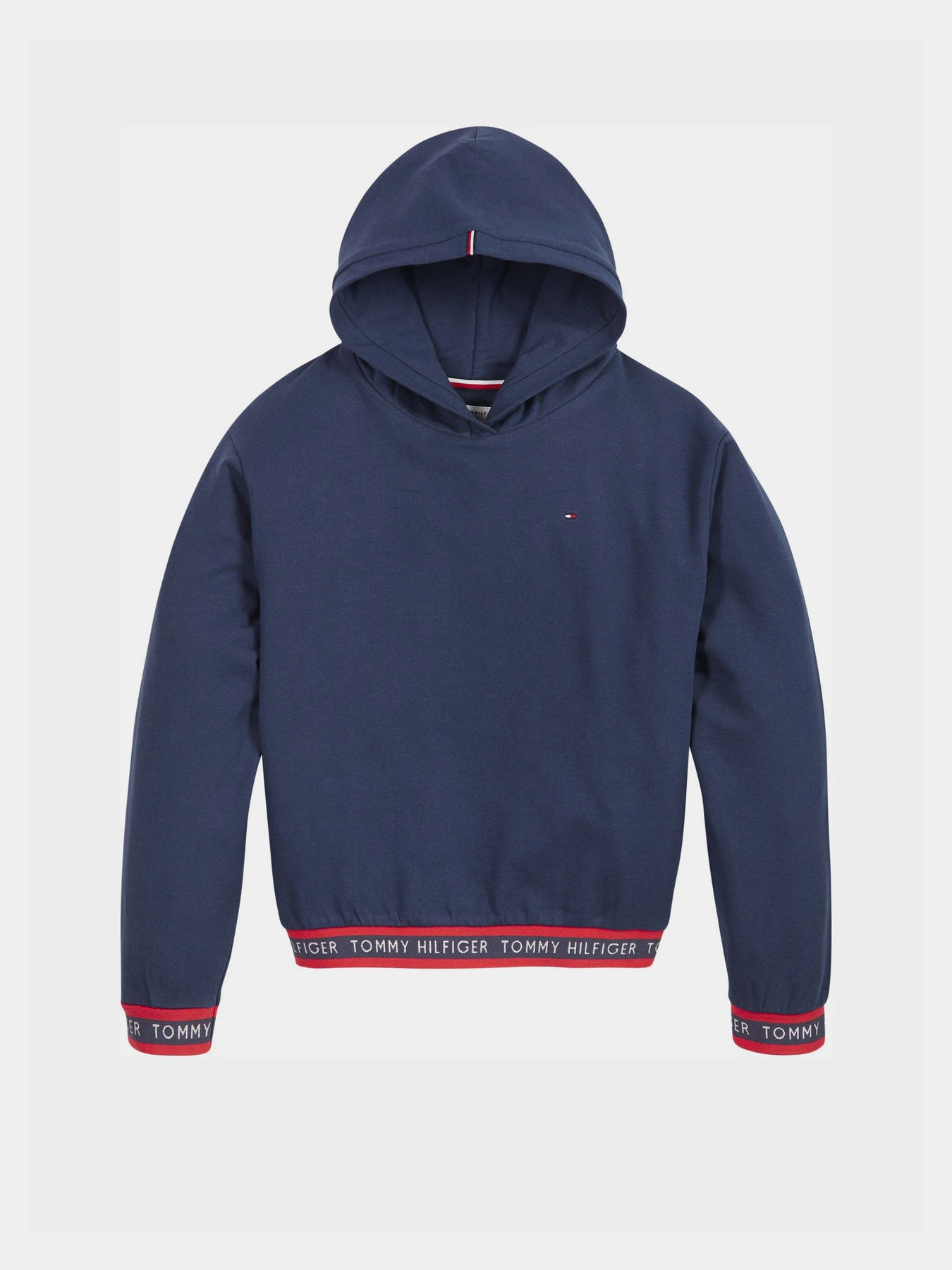 Худи и свитшоты Tommy Hilfiger модель KG0KG05887-C87 Фото