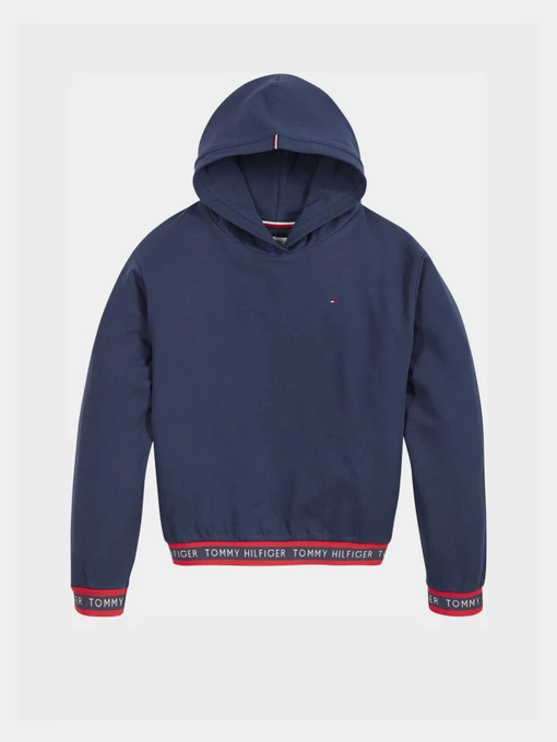 Худи и свитшоты Tommy Hilfiger модель KG0KG05887-C87 Фото