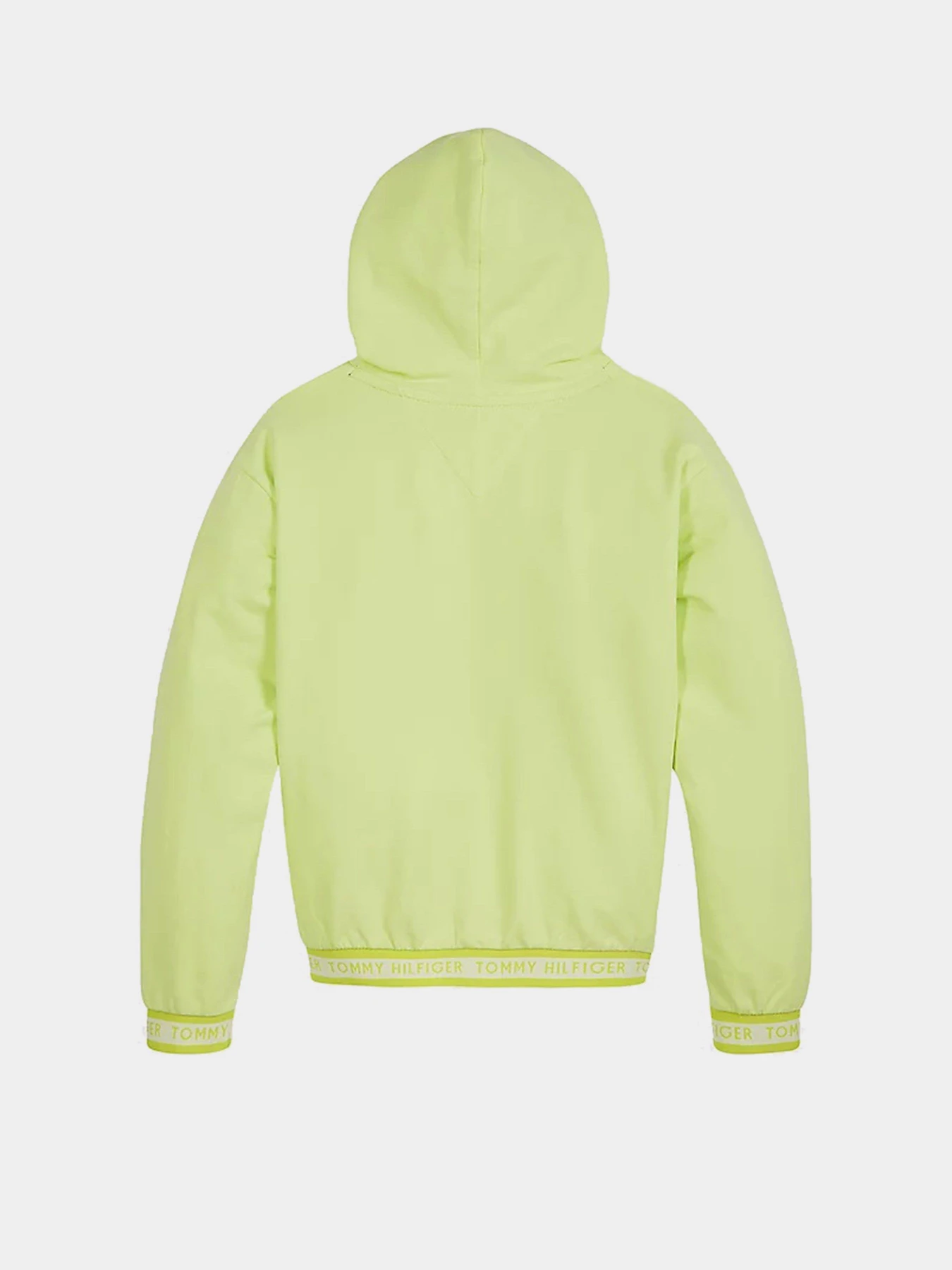 Худи и свитшоты Tommy Hilfiger модель KG0KG05887-LT3 Фото