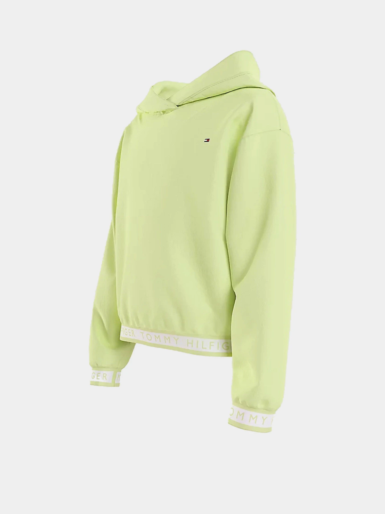 Худи и свитшоты Tommy Hilfiger модель KG0KG05887-LT3 Фото