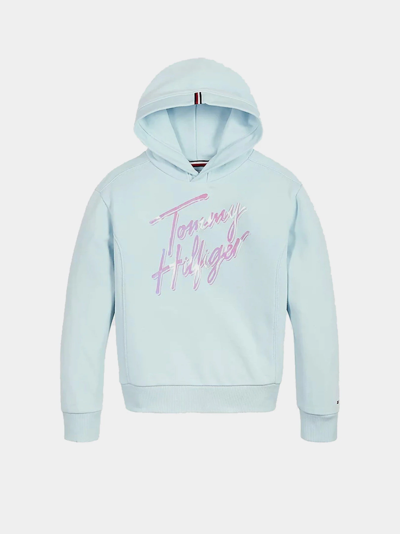 Худи и свитшоты Tommy Hilfiger SIGNATURE модель KG0KG05891-CUT Фото
