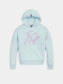 Худи и свитшоты Tommy Hilfiger SIGNATURE модель KG0KG05891-CUT Фото