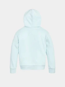 Худи и свитшоты Tommy Hilfiger SIGNATURE модель KG0KG05891-CUT Фото