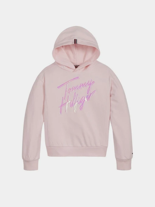 Худи и свитшоты Tommy Hilfiger SIGNATURE модель KG0KG05891-TOI Фото