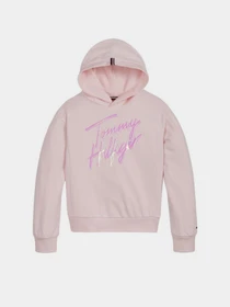 Худи и свитшоты Tommy Hilfiger SIGNATURE модель KG0KG05891-TOI Фото